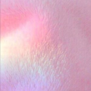 Meet your Posher, Mia